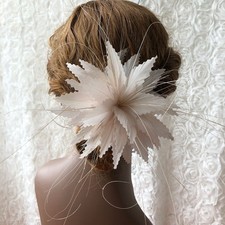 79 Couleurs Plumes Fleurs