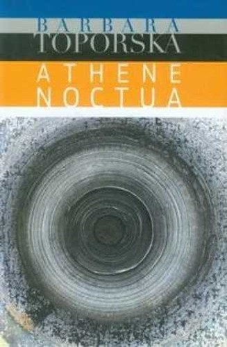 Athena noctua toporska - noctua,