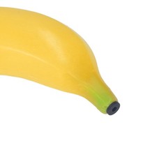 Shaker à Fruits En Plastique