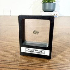 Météorite NWA 3118 –