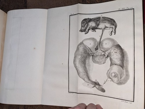 Buffon histoire naturelle - buffon-histoire,