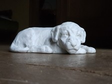 Marguerite Monot Lyon Chien En