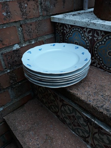 Lot assiettes plates - assiettes,