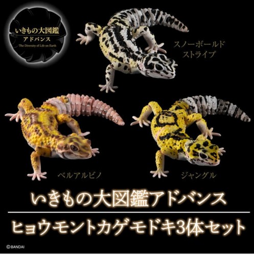 Premium bandai gashapon - premium,