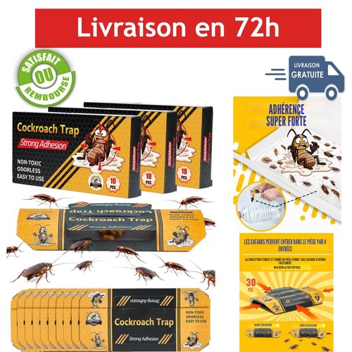 Lot pièges à cafards - lot,