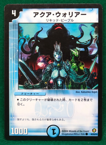 Aqua warrior 2006 - aqua,