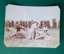 PHOTO  ancienne albumine AGRICULTURE Paysans Faucille Moisson Céréales Outil