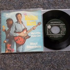 Wout Steenhuis - Malihini