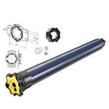 Somfy Motorisation RS100 io