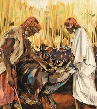 Pierre Letellier Bergers