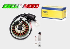 Stator Magneti Marelli Pour