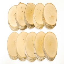 10 Pièces De Bouleau Plaque