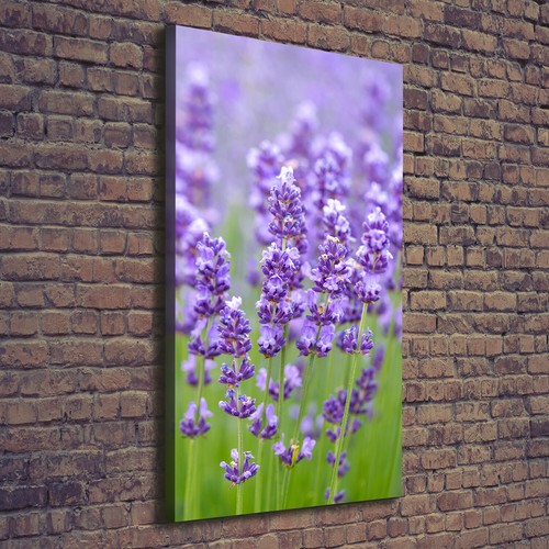Tulup tableau sur toile - tulup,