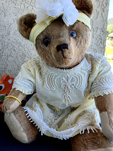 Ours ancien francais - ours, fadap