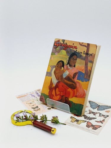 Gauguin son temps de - gauguin,
