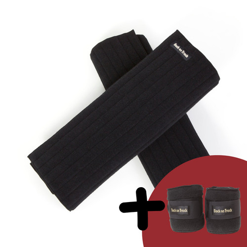 Back track scandic pk - track,