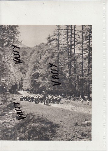 Photo années issue livre - 60,
