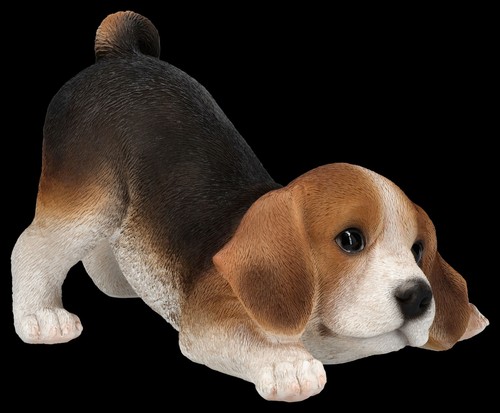 Hotant statue chien - hotant,