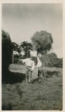 Snapshot 1932 travail des champs deux hommes foin coupé herbes fourches men 