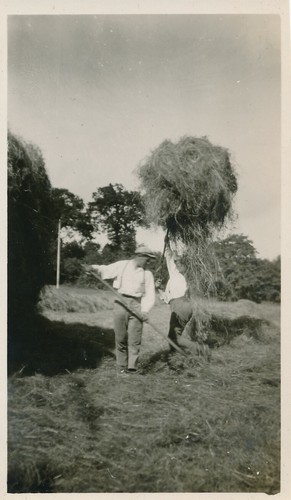 Snapshot 1932 travail des