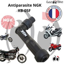 Antiparasite/Capuchon bougie