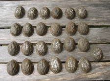 Lot 25 Anciens Moules NOIX  à