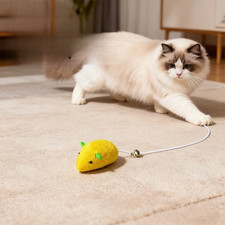 Petit jouet chat en forme