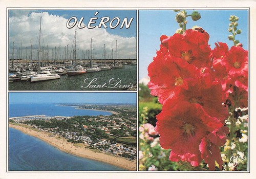 Saint denis oleron ile - ile, d