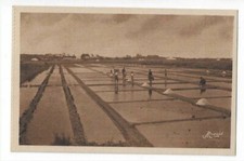 17  ILE DE RE  VUE GENERALE D