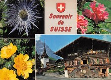 SUISSE LAUSANNE VIEUX CHALET