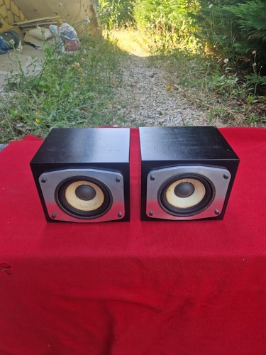 Rare paire mediums 13cm - rare, de