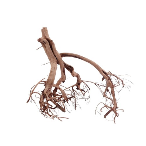 Flowerwurzel 4120 taille l - n°4120,