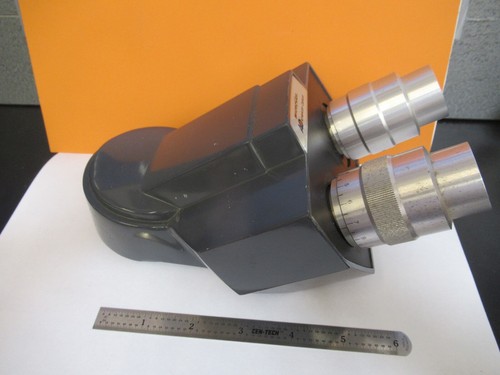 Tête microscope - tête,