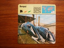 RORQUAL BALAENOPTERA BOREALIS  Carte collection 1975 fiche animal lobby card 
