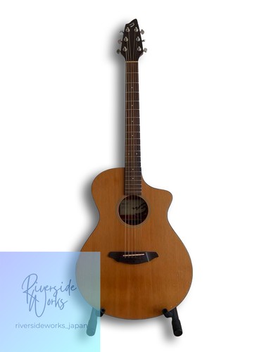 Guitare électrique acoustique