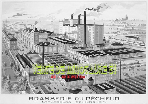 Bière brasserie du pécheur - -,