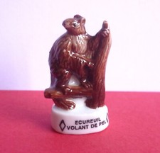 FEVE   ECUREUIL VOLANT DE PEL