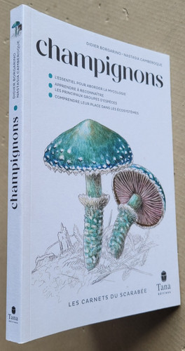 Champignons essentiel pour - champignons:l'essentiel,