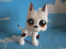 PETSHOP CHIEN DOGUE ARGENTIN