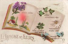CP LANGAGE DES FLEURS - LIVRE