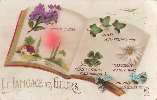 Langage des fleurs livre - langage,