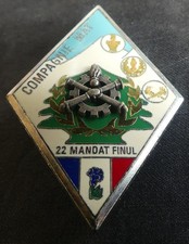 Insigne militaire 420° D.S.L