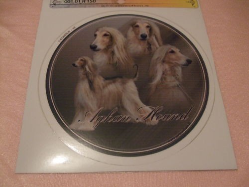 Autocollant motif chien - -,
