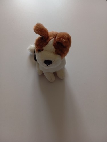 Chien peluche mignon - chien, en