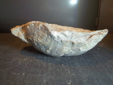 FOSSILE.  HUITRE GRYPHEA