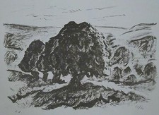 René Seyssaud lithographie châtaigniers à villes album 1954 marseille P 394