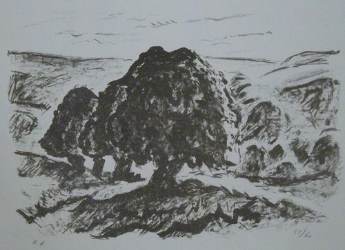René seyssaud lithographie - rené,