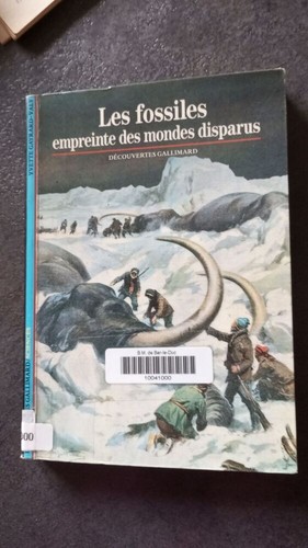 Les fossiles empreinte des