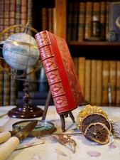 Mes idées politiques (EO)