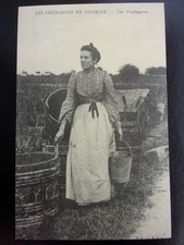 CARTE POSTALE  Les Vendanges